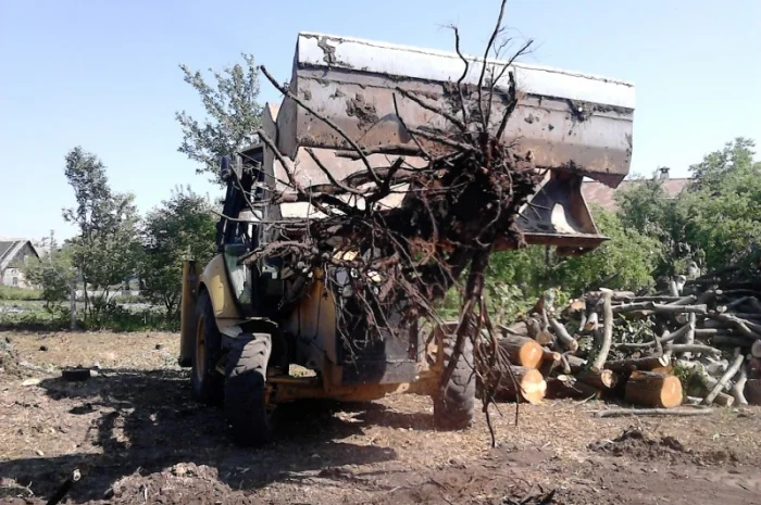 Услуги уборки территории. Уборка территории Киев- фото № 1