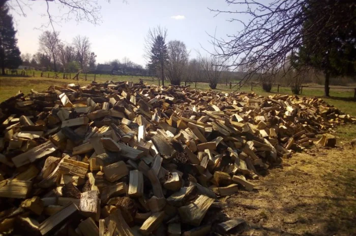 Продам дубовые дрова от производителя 20 кубов- фото № 3