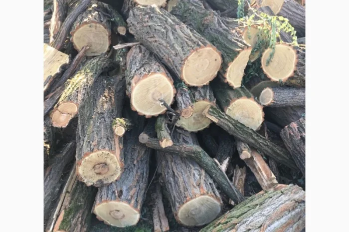 Продам в больших количествах дрова твердых пород и дрова фруктовые- фото № 10