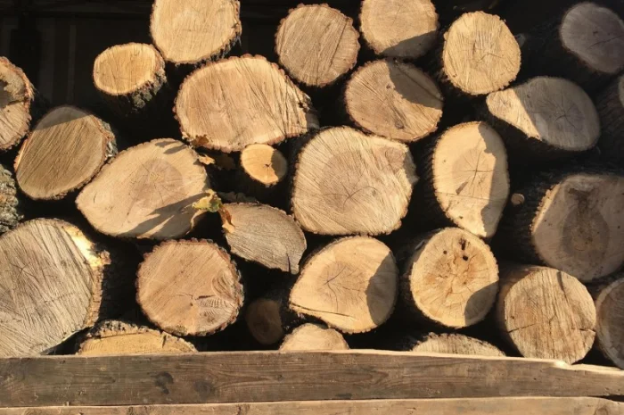 Продам в больших количествах дрова твердых пород и дрова фруктовые- фото № 2