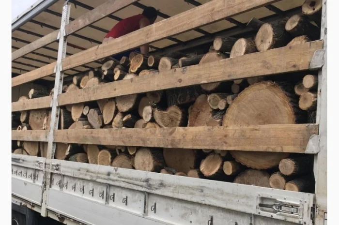 Продам в больших количествах дрова твердых пород и дрова фруктовые- фото № 3