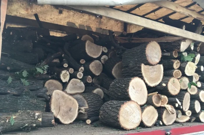 Продам в больших количествах дрова твердых пород и дрова фруктовые- фото № 4