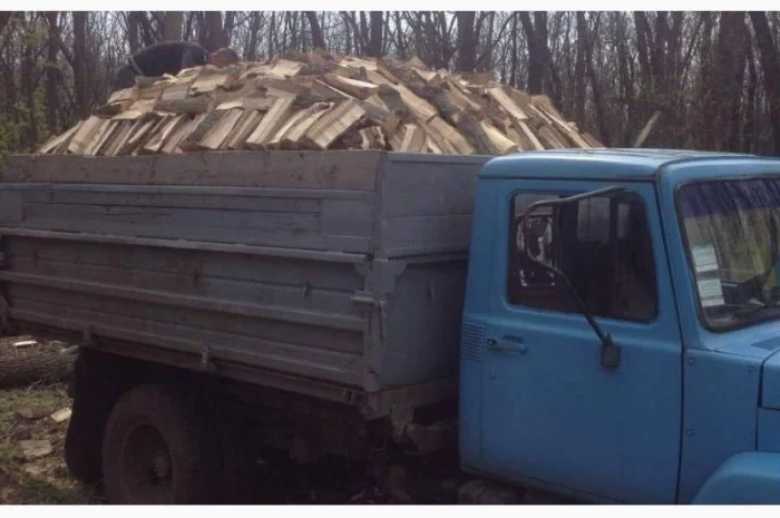 Продам в больших количествах дрова твердых пород и дрова фруктовые- фото № 5