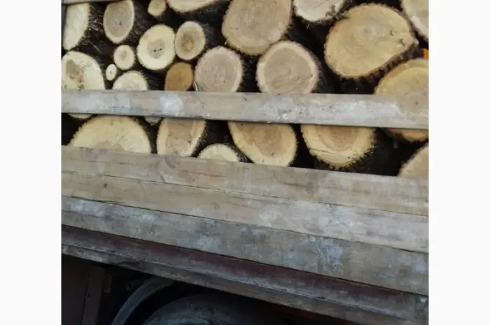 Продам в больших количествах дрова твердих порід і дрова фруктові- фото № 8