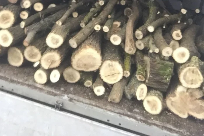 Продам Дрова Акация- фото № 1