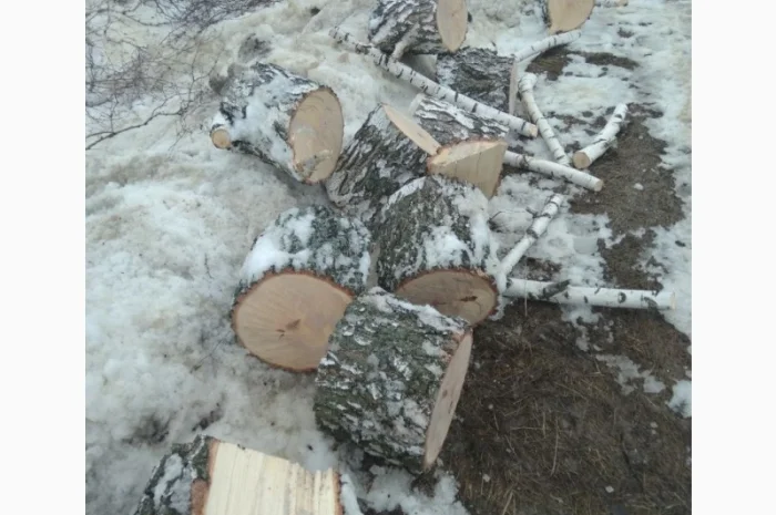 Продам, дрова береза, клен, акація- фото № 2