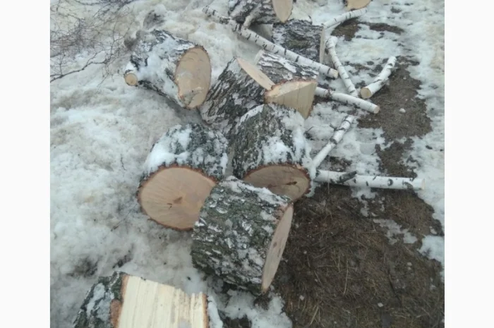 Продам, дрова береза, клен, акація- фото № 4