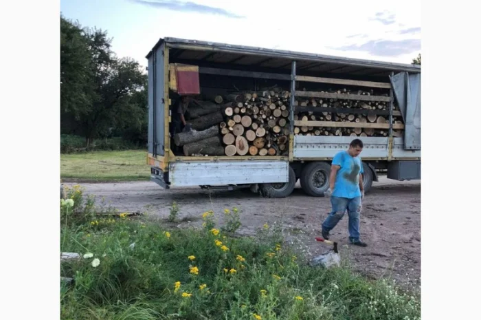 Дрова Белогородка- фото № 1