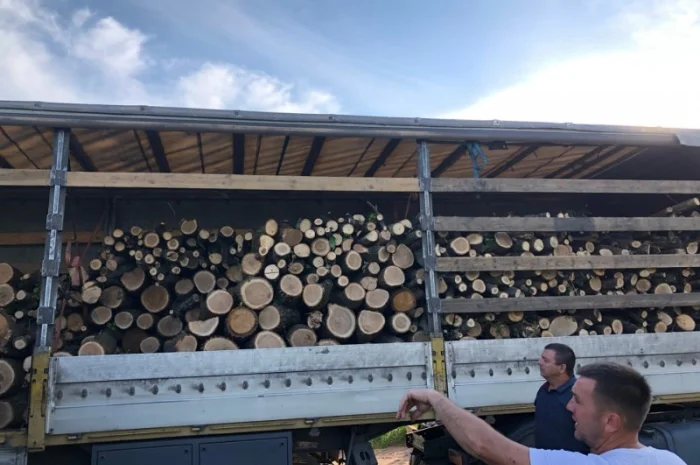 Дрова Хотяновка- фото № 1