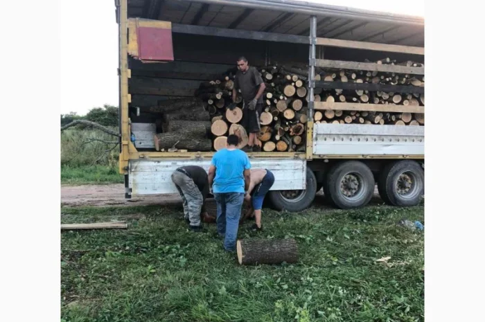 Дрова Бышев- фото № 1