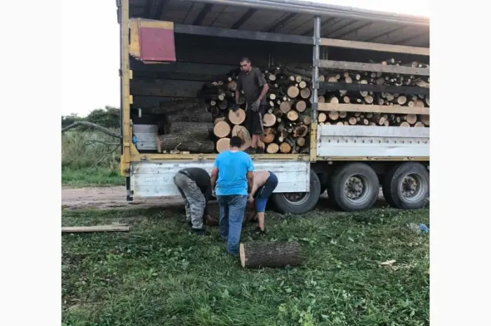 Дрова Бышев- фото № 1