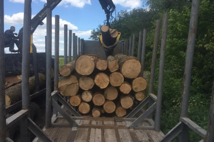 Дрова Яготин- фото № 1