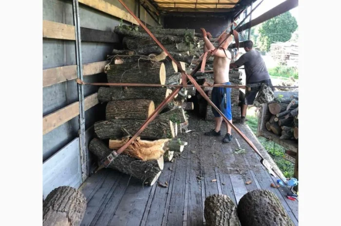 Дрова Иванков- фото № 1