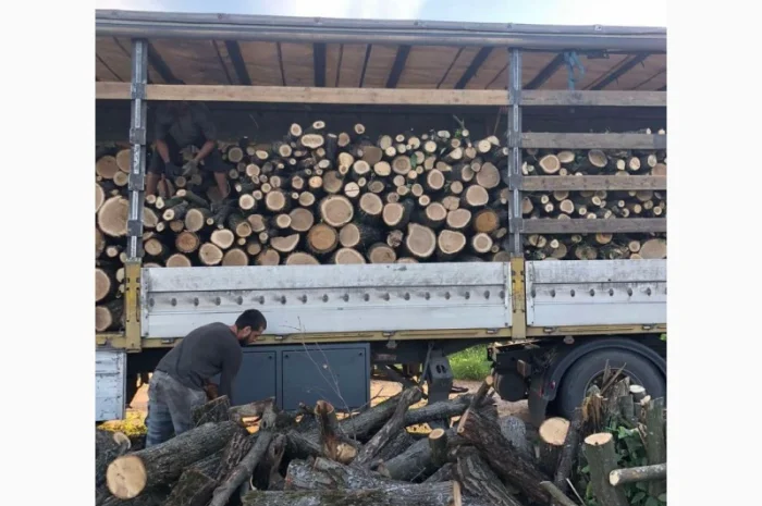 Дрова Конча Заспа- фото № 1