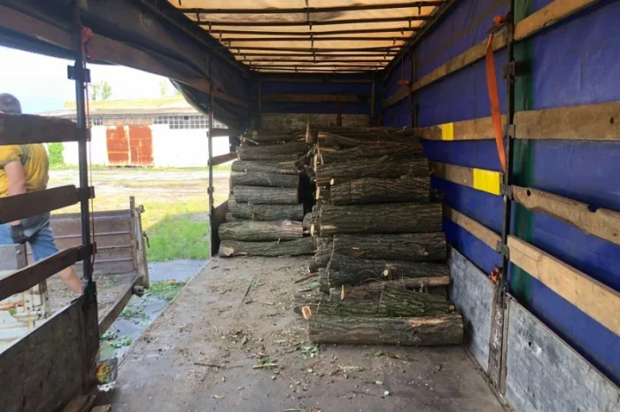 Дрова Плюты- фото № 1