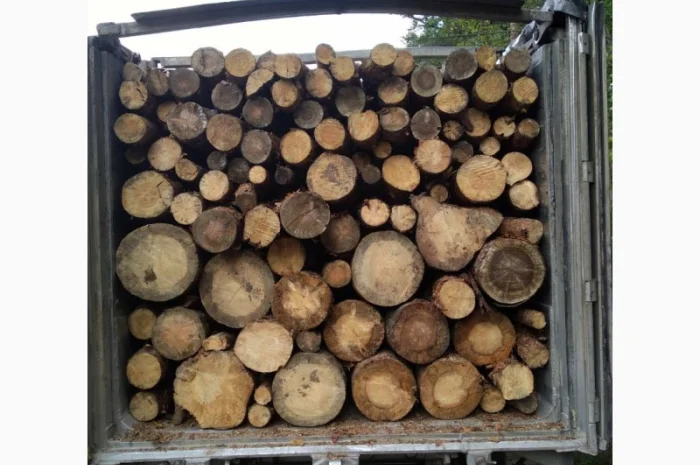 Дрова Мотовиловка- фото № 1
