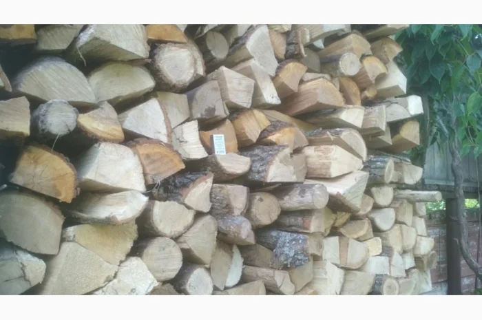 Дрова для бани- фото № 1