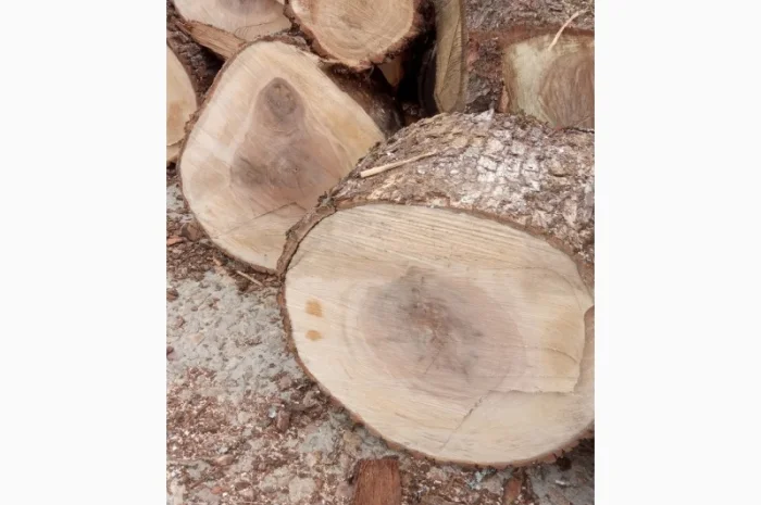 Дрова дуб, ясень, берёза- фото № 1