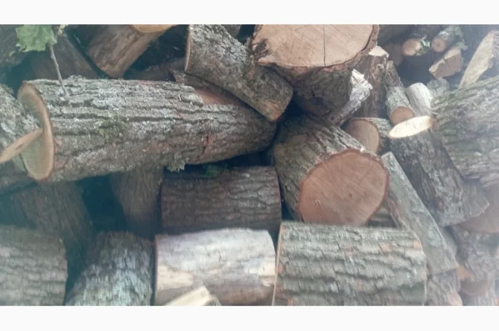 Дрова дуб, ясень, берёза- фото № 2