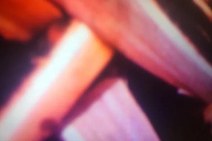 В продажі дрова дуб, ясень.Колоті.Доставка дров по Харькову і пригороду- фото № 1