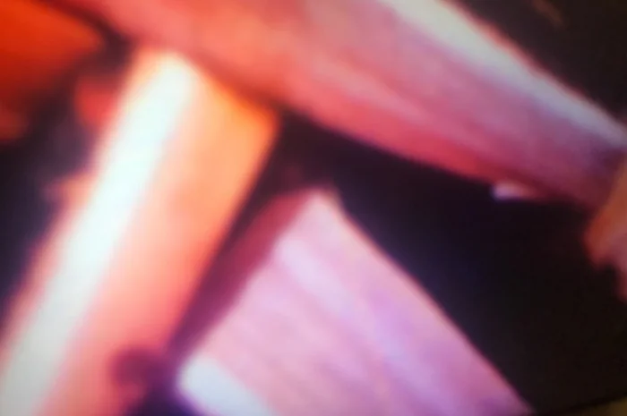 В продажі дрова дуб, ясень.Колоті.Доставка дров по Харькову і пригороду- фото № 2