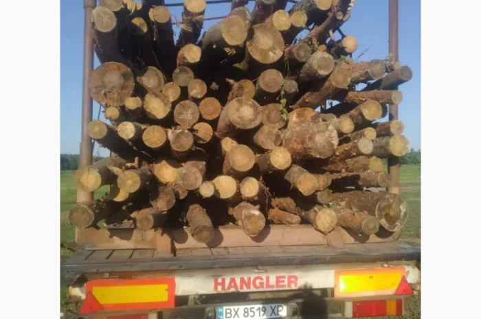 Продам дрова- фото № 1