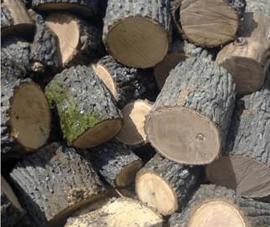 Продажа дров в Рожище | Рубленые дрова | Метровый кругляк- фото № 1