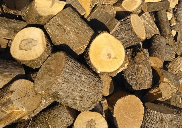 Продаются дрова кругляк метровый и чурки, резанные по 35-40 см- фото № 1