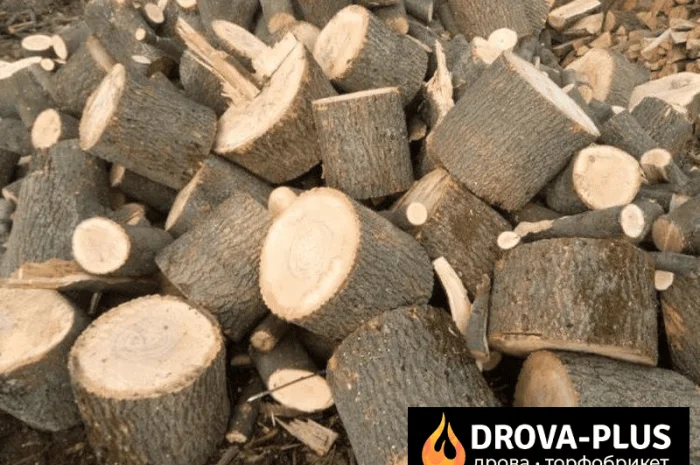 Продаются дрова метровые для отопления в Рожище- фото № 1