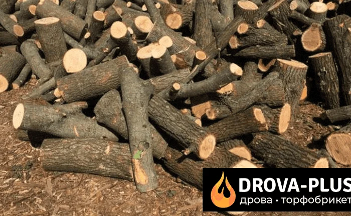Продажа дров в Киверцах – ясен, дуб, граб и другие породы- фото № 1
