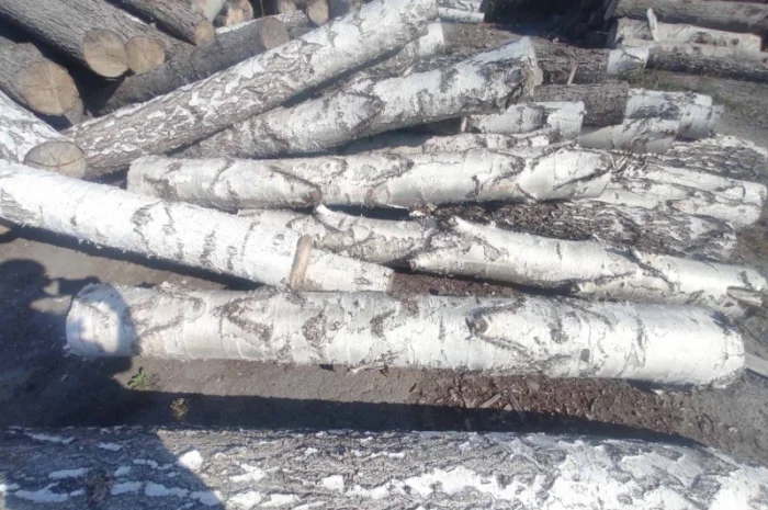 Продам дрова- фото № 1