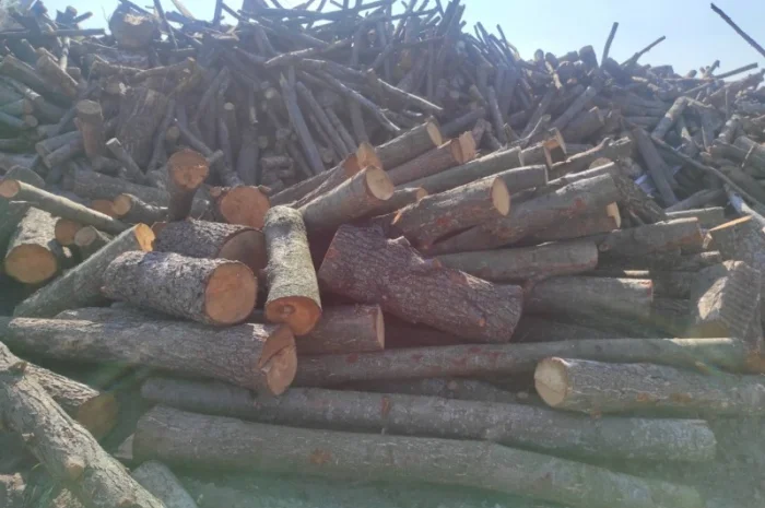Продам дрова- фото № 2