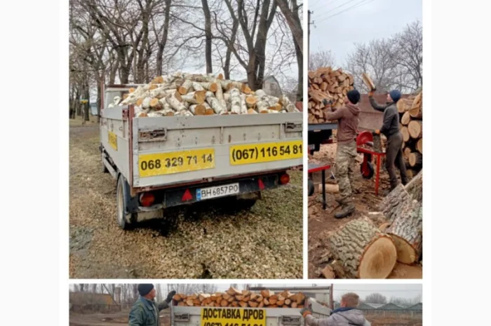 Дрова метровки, брикеты торфяные Одесса- фото № 2