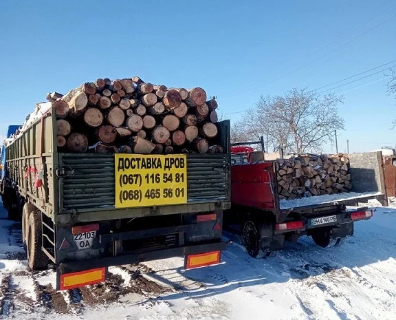 Доставка дров метровок и торфяных брикетов- фото № 1