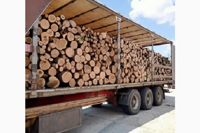 Купить брикеты топливные (евродрова) в Одессе- фото № 3