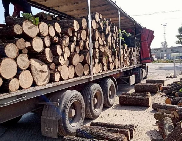 Продам дрова дубовые- фото № 1