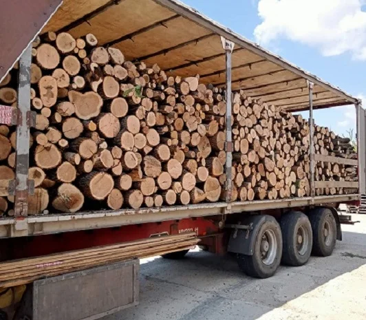 Колотые дрова с доставкой по Одессе и области- фото № 1
