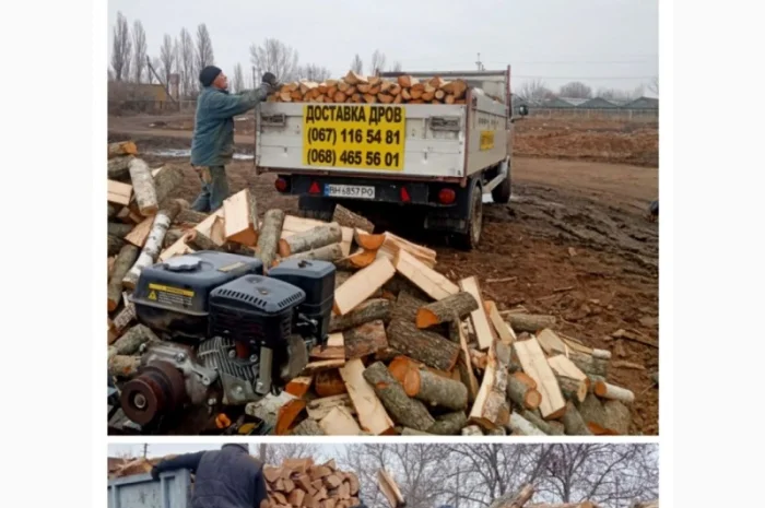 Продам дрова дуба Одесса и область- фото № 1