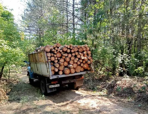 Продам дрова Одесса- фото № 2