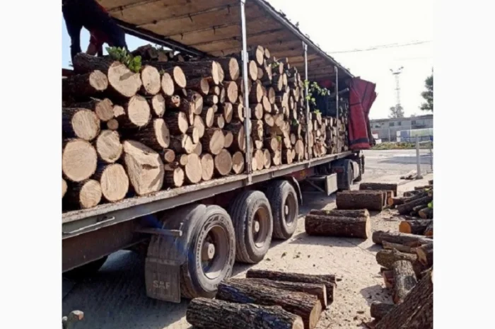 Продам дрова твердых пород, уголь Одесса- фото № 2