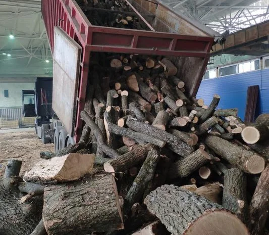 Продам дрова колені твердих порід, є Сухі (дуб, бук, граб)- фото № 2
