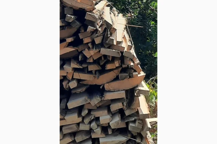 Дрова, обзол, обапол, обрезки- фото № 3