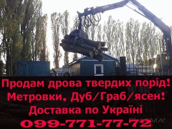 Продам дрова твердих порід за договірною ціною!З доставкою- фото № 1