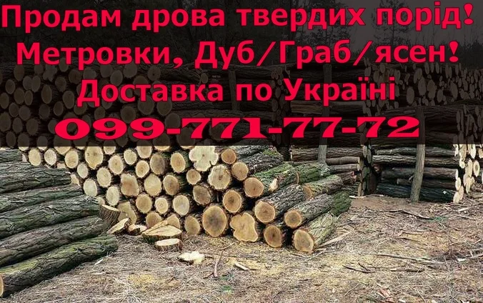 Продам сухі дрова метрівки (Дуб/Граб/Ясен) можливо з доставкою- фото № 1