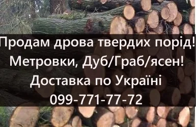 Продам дрова, на постійній основі- фото № 1