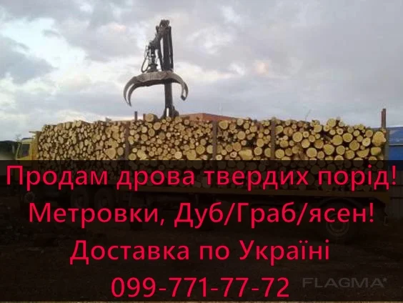 Продаю Дрова з доставкою! Метровки твердих порід(Дуб/граб/Ясен)- фото № 1