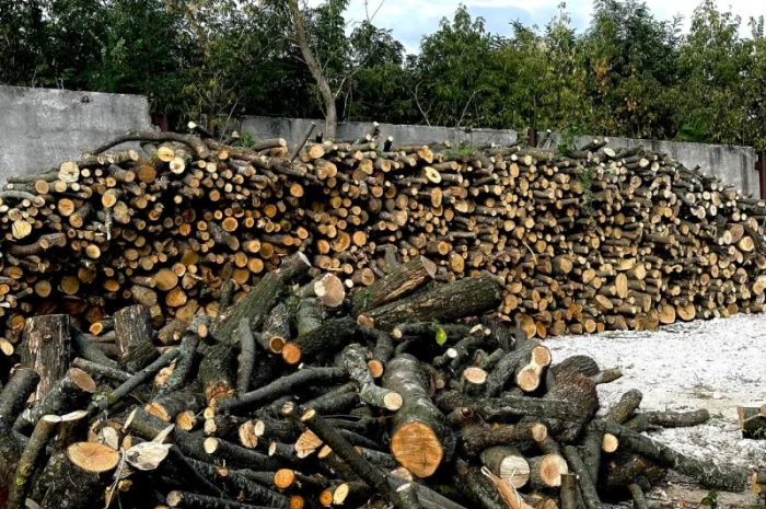 Дрова Умань. Опт та роздріб- фото № 2