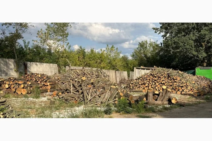 Дрова Умань. Опт та роздріб- фото № 6