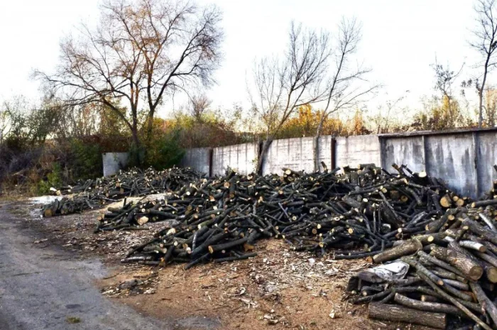 Дрова Умань. Опт та роздріб- фото № 7