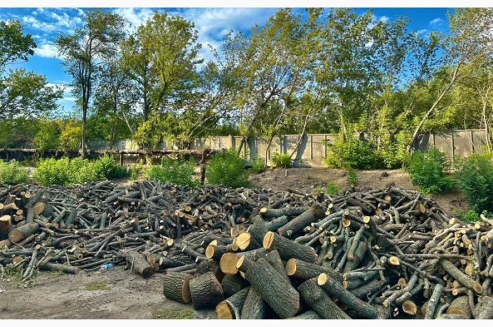 Дрова Умань. Опт та роздріб- фото № 8